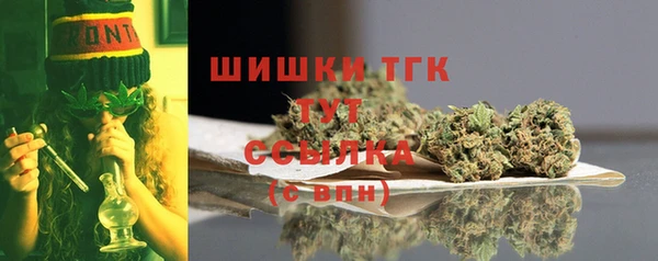 крисы Верхний Тагил