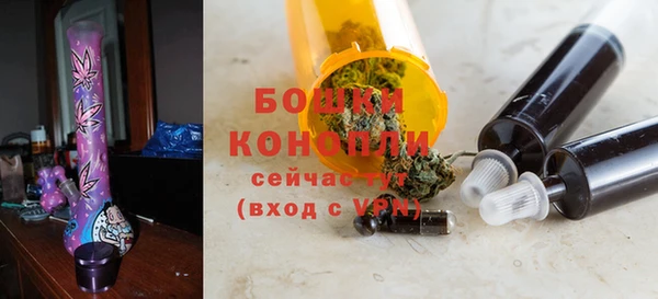 крисы Верхний Тагил