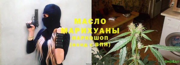 крисы Верхний Тагил