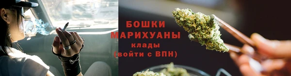 крисы Верхний Тагил