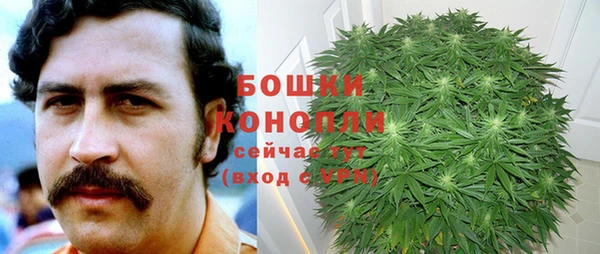 дмт Верея