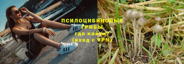 дмт Верея